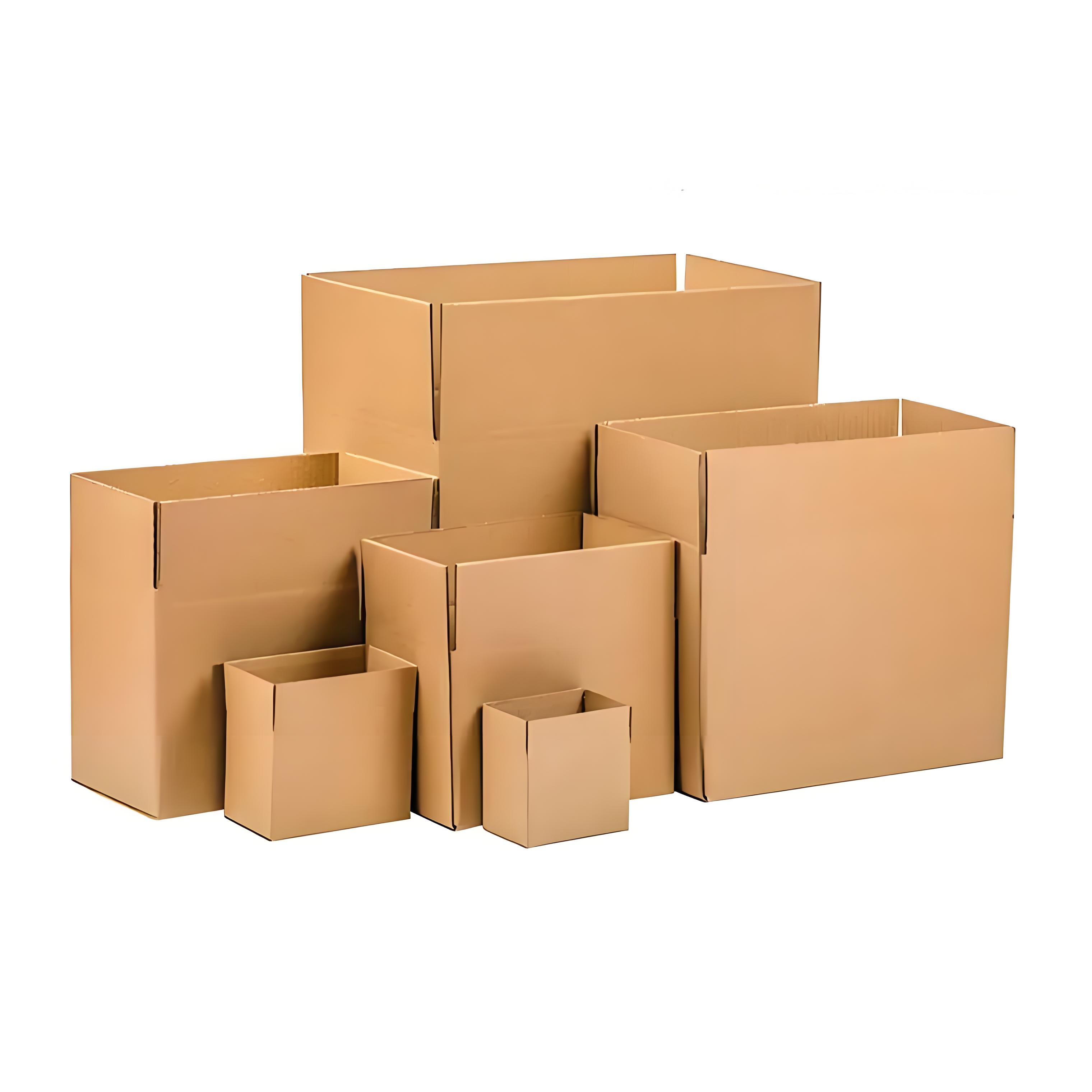 Carton Box (2)